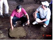 novelgro application