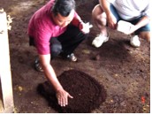 Novelgro application