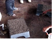novelgro application