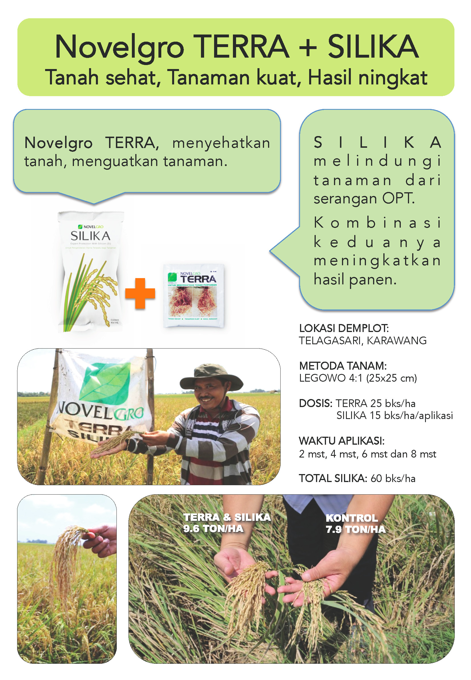 POSTER NOVELGRO TERRA DAN SILIKA PADA TANAMAN PADI POSTER NOVELGRO TERRA DAN SILIKA PADA TANAMAN PADI