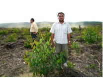 Novelgro Treatment Plant after 3 months